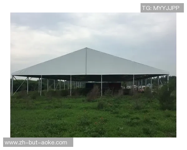 体育篷房公司建立的马术馆篷房抗风10级以上